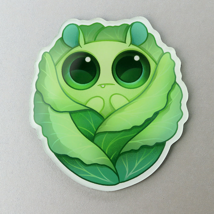 "Cabbage" Acrylic Magnet