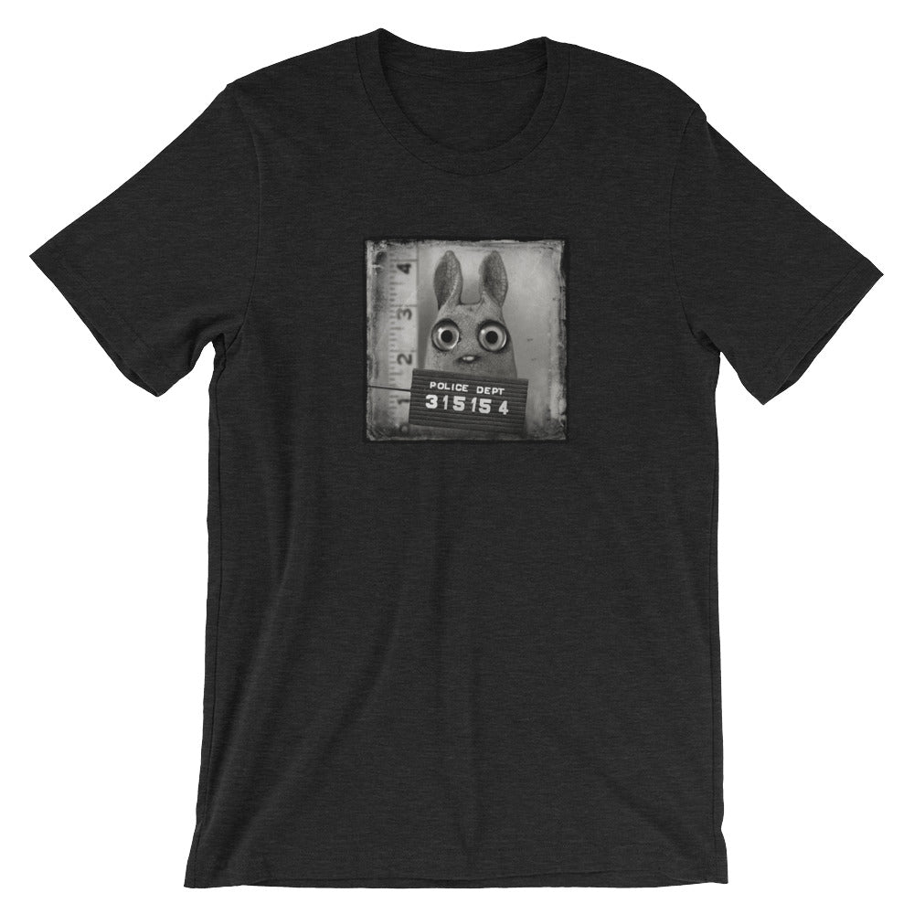 The Pipsqueak Mugshot Tee from Bindlewood Shop features a cartoon rabbit in a vintage mugshot, wide-eyed before a height chart and holding police sign “315154.” This shirt offers a gender-neutral fit and unique character style.